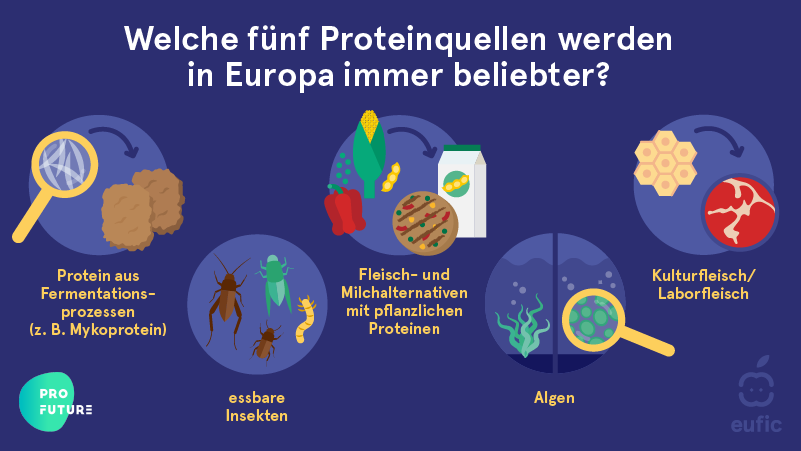 Fünf alternative Proteinquellen, die in Europa immer beliebter werden