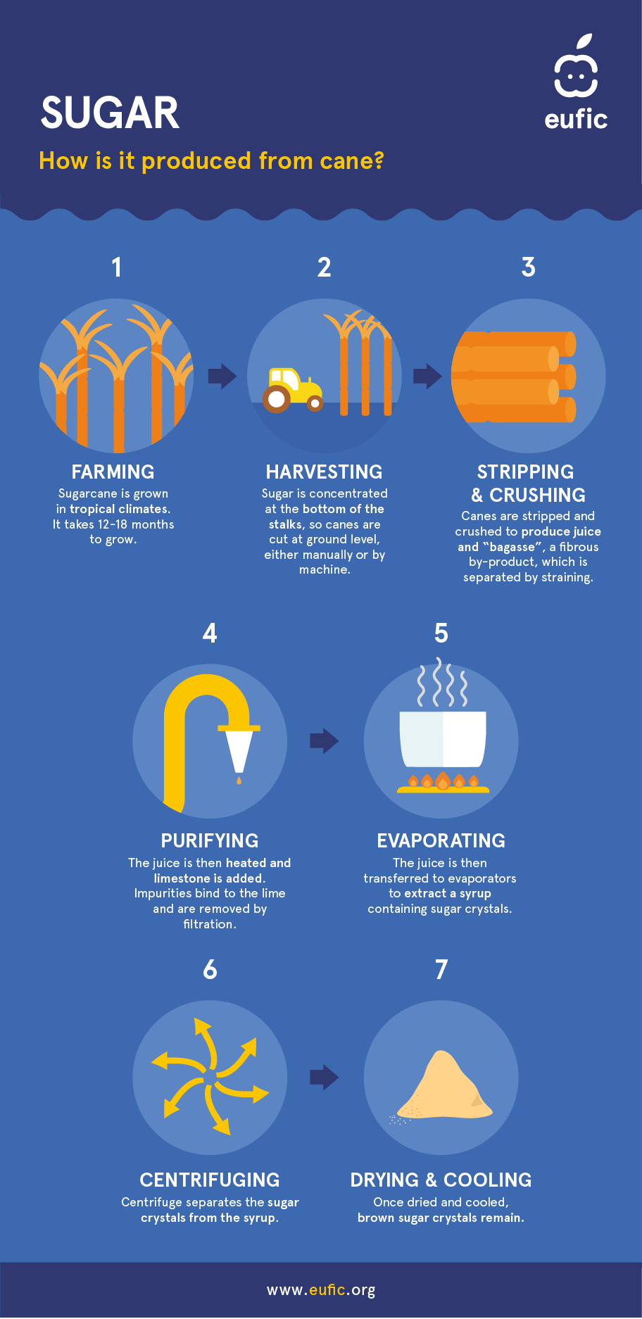 how to produce sugar from cane