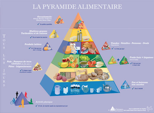 Belgian Food Pyramid