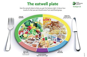 The eatwell plate UK	