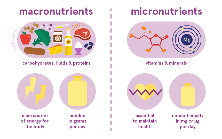 the difference between macronutrients and micronutrients