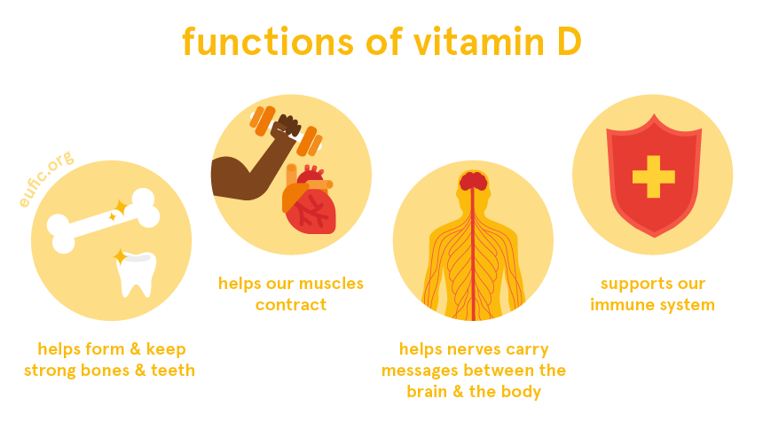 functions of vitamin D