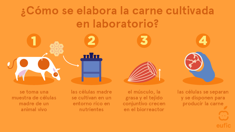 ¿Cómo se elabora la carne cultivada en laboratorio?