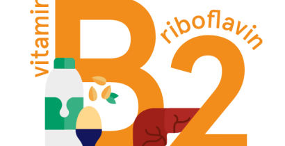Riboflavin (vitamin B2): foods, functions, how much do you need & more