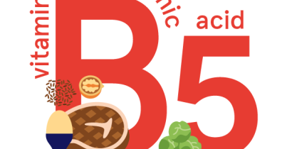 Pantothenic acid (vitamin B5): foods, functions, how much do you need & more