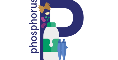 Phosphorus: foods, functions, how much do you need & more