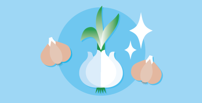 How to store onions and garlic to keep them fresh longer and minimise sprouting
