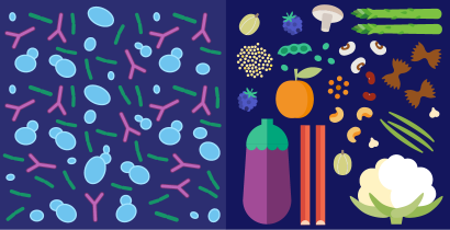 Was sind Präbiotika und Probiotika und sind sie wichtig für die Gesundheit?