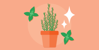 How to keep potted and fresh herbs fresh for longer at home