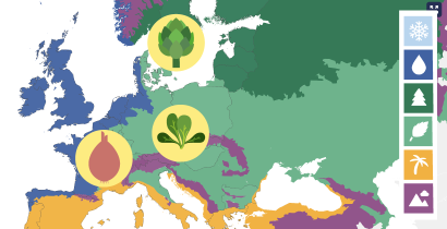 Explore seasonal fruit and vegetables in Europe (Tool)