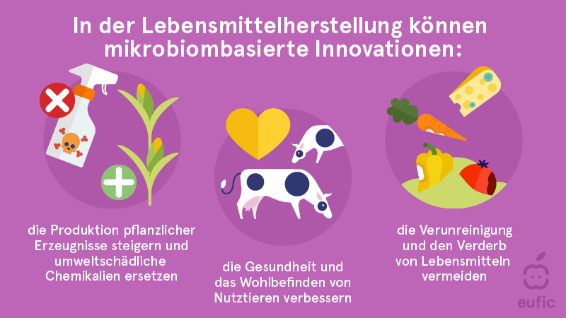 In der Lebensmittelherstellung können mikrobiombasierte Innovationen: