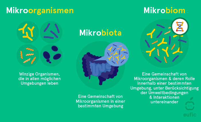 Mikroorganismen, Mikrobiota und Mikrobiom