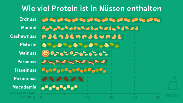 Proteingehalt in Nüssen: Erdnüsse, Mandeln, Cashewnüsse, Pistazien, Walnüsse, Paranüsse, Haselnüsse, Pekannüsse, Macadamia.