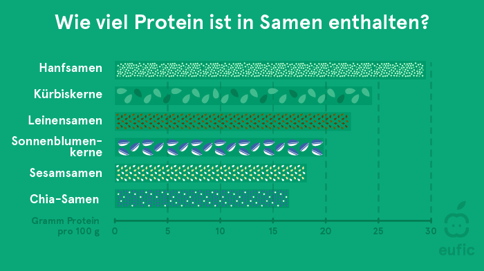 Proteingehalt in Samen: Hanfsamen, Kürbiskerne, Leinsamen, Sonnenblumenkerne, Sesamsamen, Chiasamen.