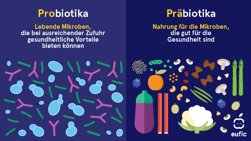 Prebiotics_probiotics_Prebiotics_probiotics-EN.png