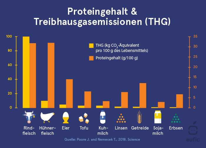 Proteingehalt und Treibhausgasemissionen (THG) verschiedener Lebensmittel