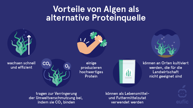 Vorteile von Algen als alternative Proteinquelle