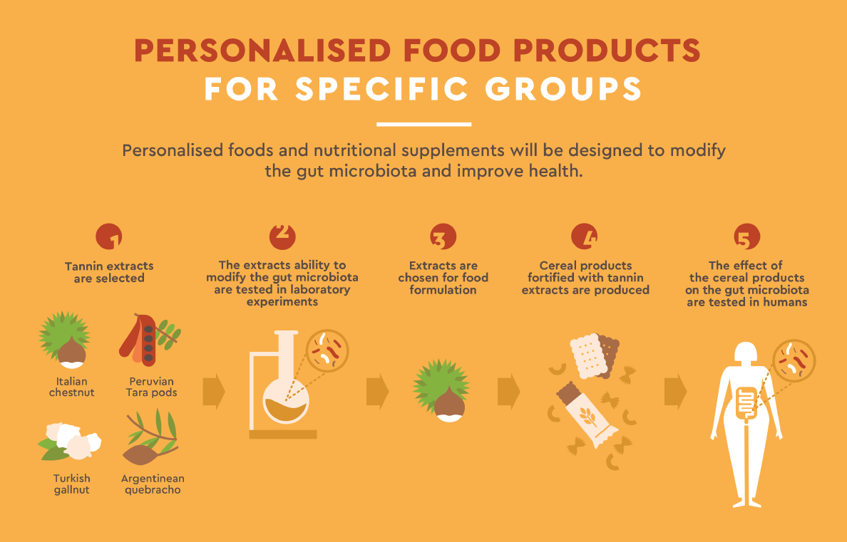 Stance4Health Process for the design and testing of personalised food products