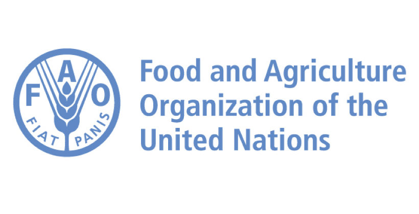 Spotlight on… Food and Agriculture Organization (FAO)
