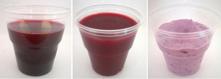  CHANCE berry-based prototypes, blueberry soup, berry vegetable shot, yoghurt