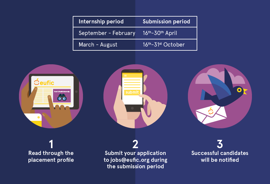 eufic internship application period