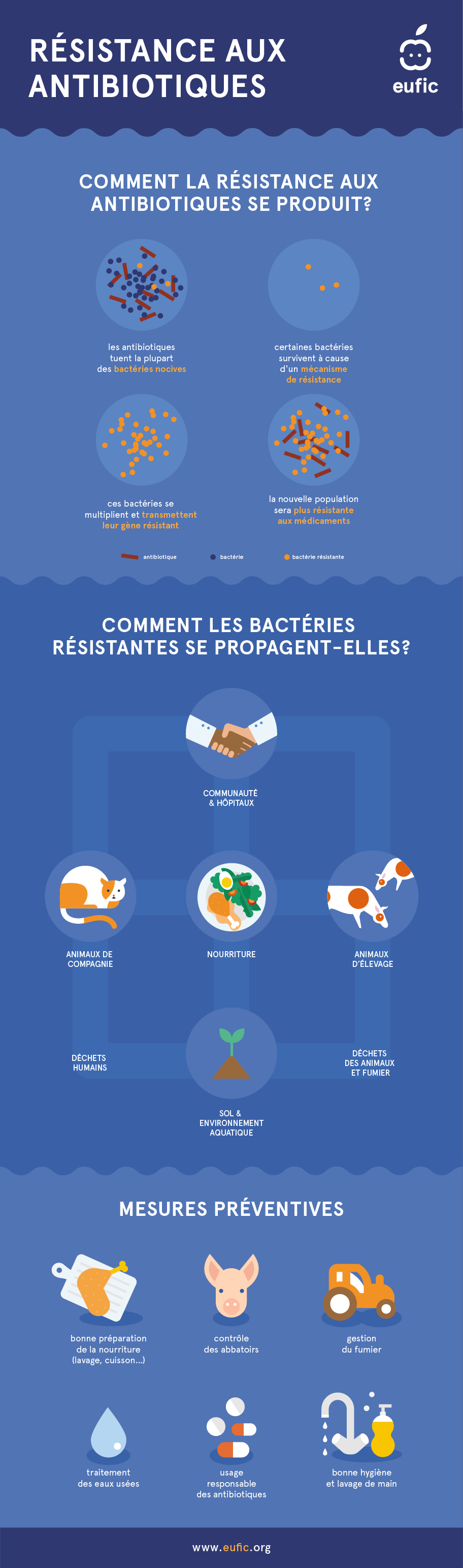 Infographie sur la résistance aux antibiotiques