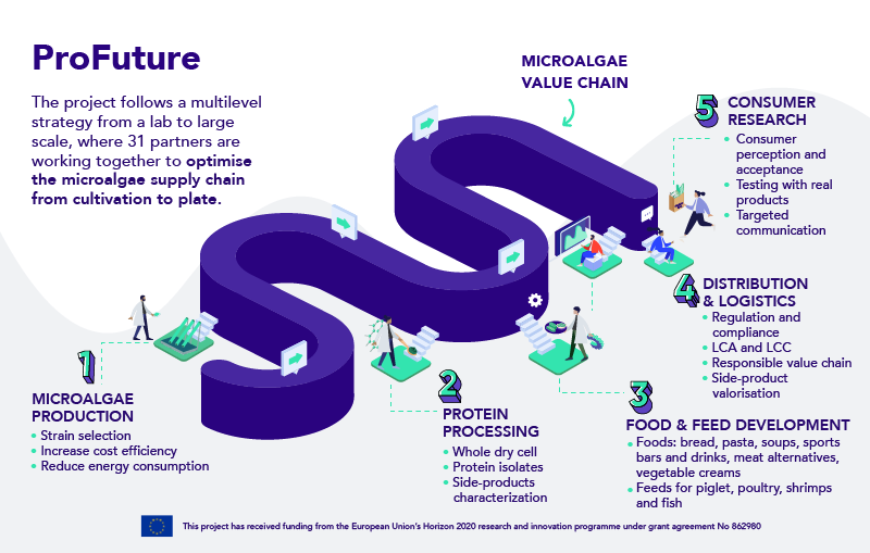 ProFuture project infographic