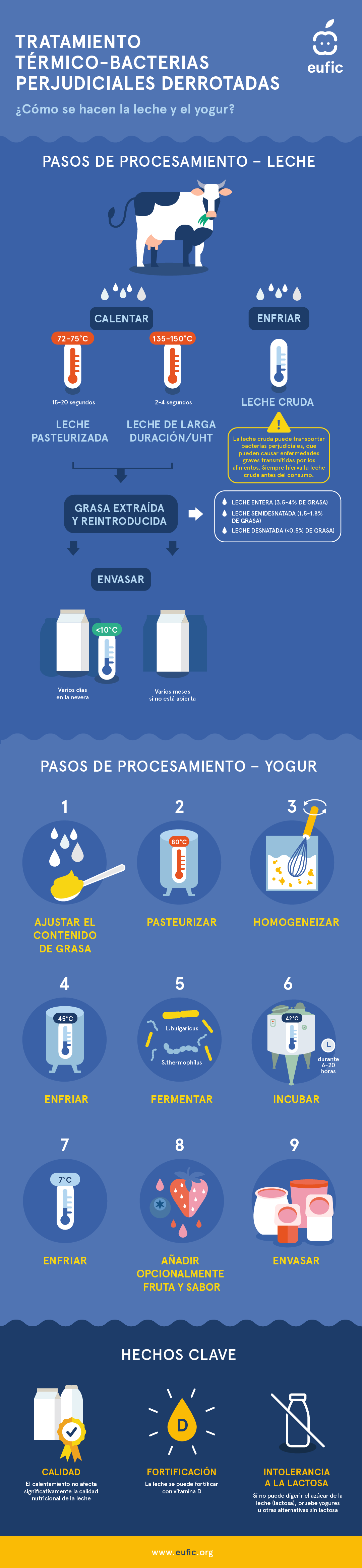 Los pasos de procesamiento de la leche y el yogur
