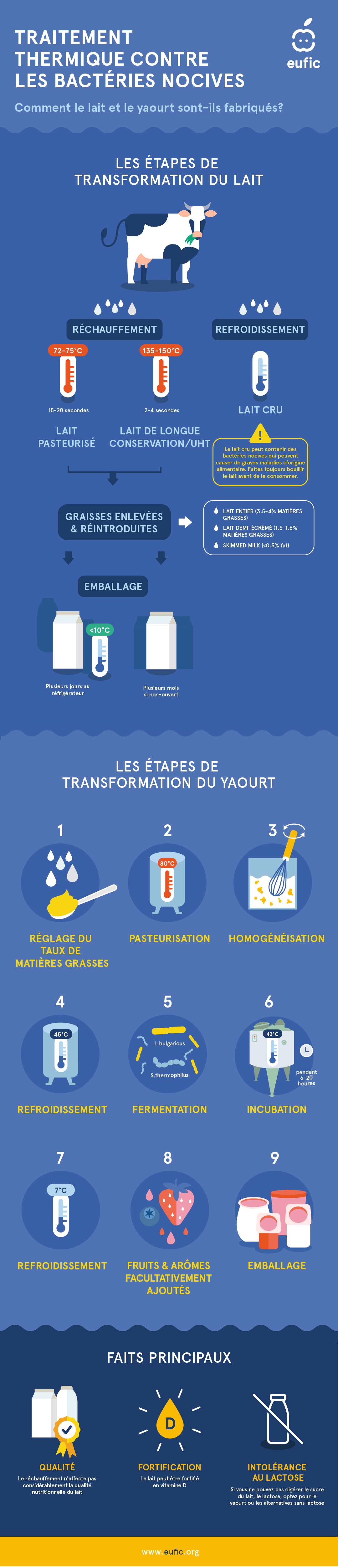 Les étapes de transformation du lait et du yaourt