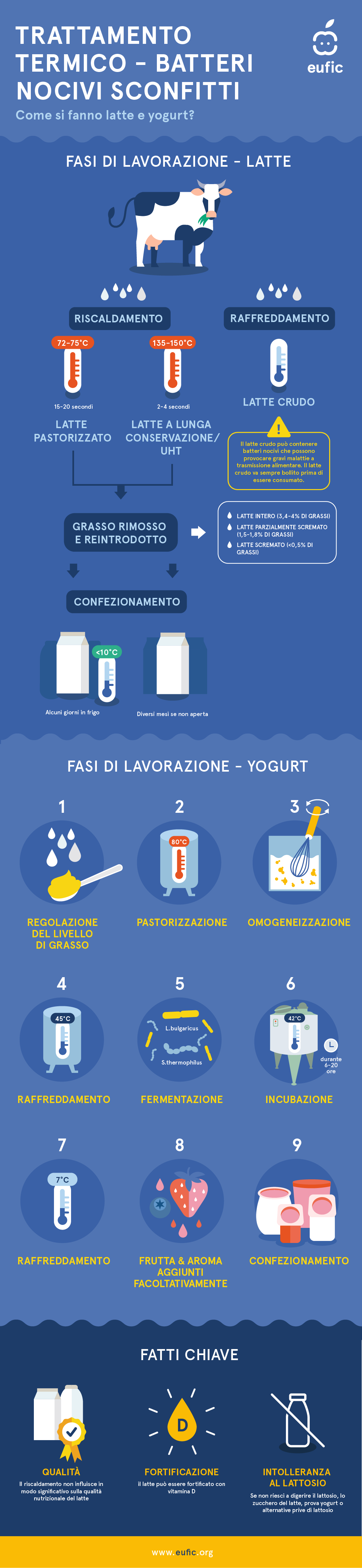 Le fasi di lavorazione del latte e dello yogurt