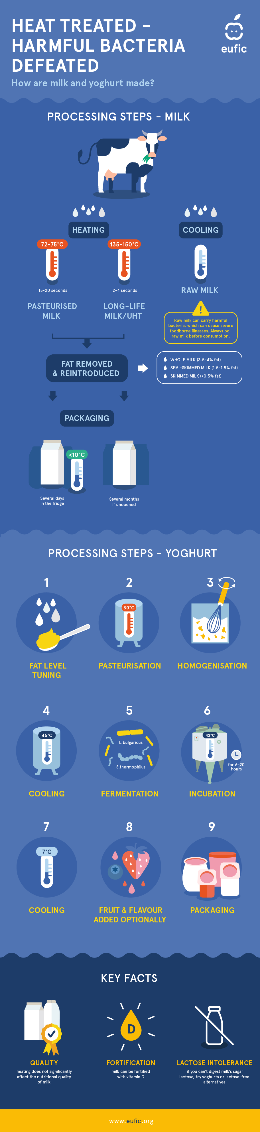 The processing steps of milk and yoghurt