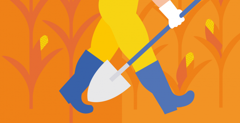 From Farm to Fork: food and the consumer, a shared responsibility