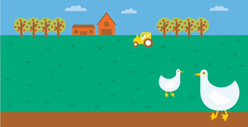 From farm to fork: Changing food patterns