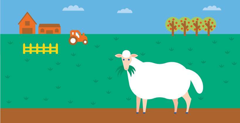Food safety- From Farm to Fork Conlusion