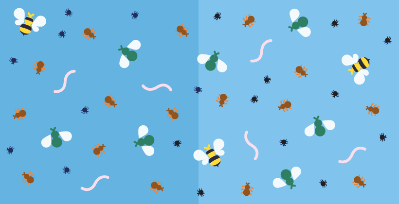 Pesticides and health (Q&A)