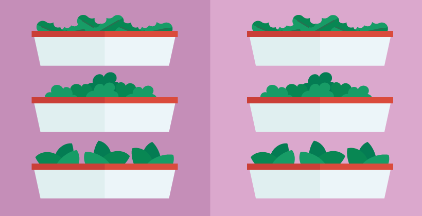 Vertical Farming – what’s the deal anyway?