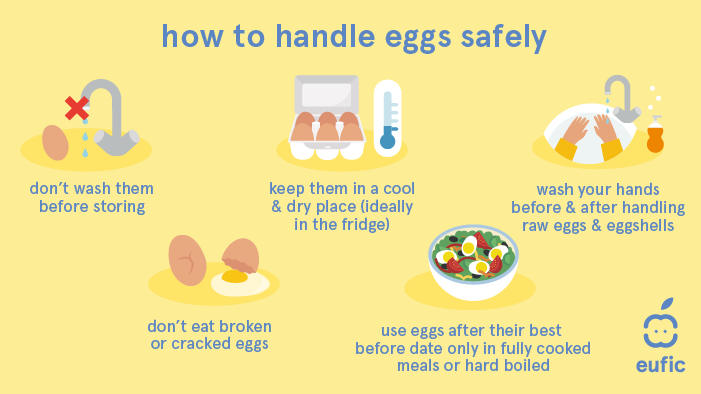 How to handle eggs safely