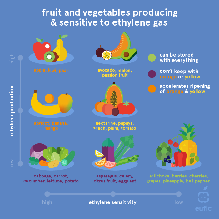 What Fruits and Vegetables Should Be Refrigerated?