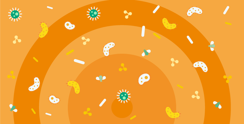 The World Health Organization exposes myths about foodborne disease