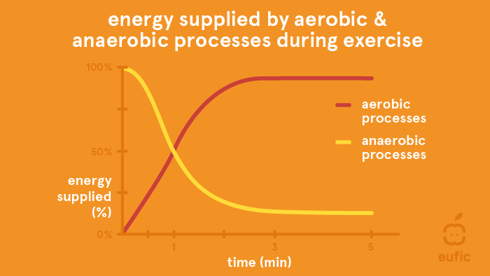 what is the difference between aerobic and anaerobic fitness