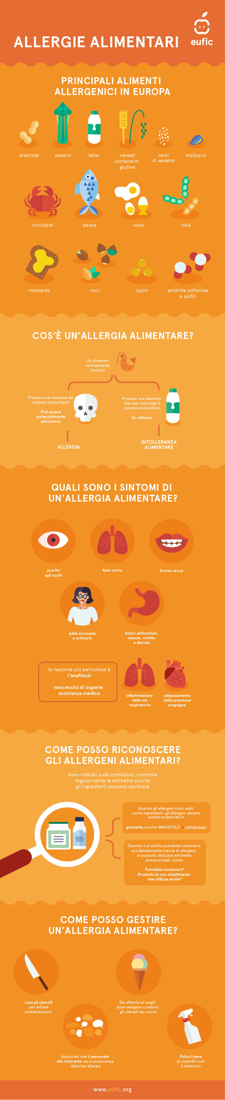 cos'è un'allergia alimentare e come gestirla, e quali sono i principali alimenti allergenici e come si possono riconoscere