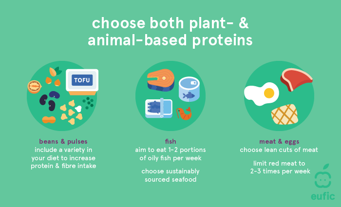 Types of plant and animal-based proteins