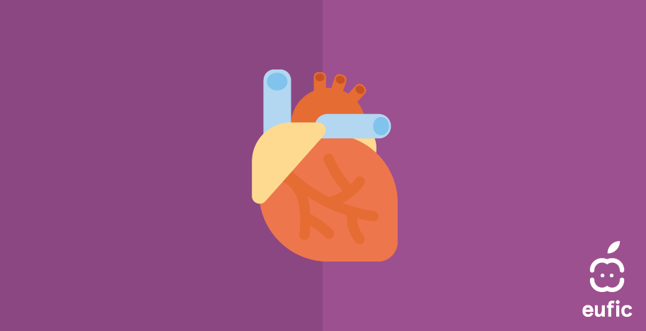 cuore rappresentato come un organo con arterie e ventricoli su sfondo viola