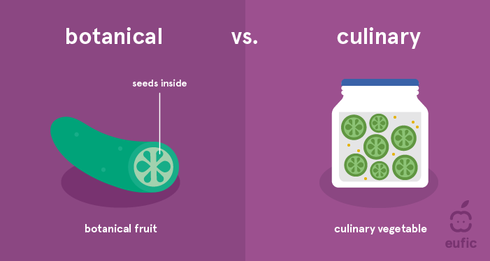 botanical vs culinary cucumber