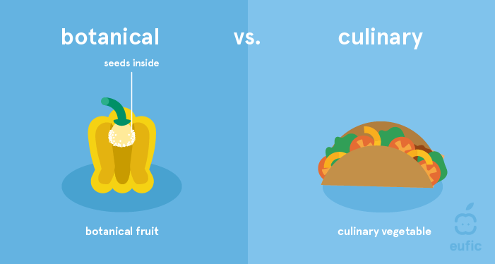 Top 10+ Is a jalapeno a fruit or vegetable 8 Is a Pepper a Fruit or a Vegetable and Why?
