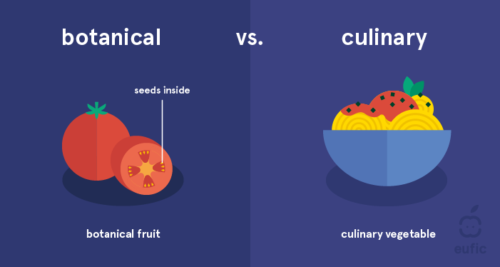Top 9 Why is it tomato a fruit 1 Is a Tomato a Fruit or a Vegetable and Why?