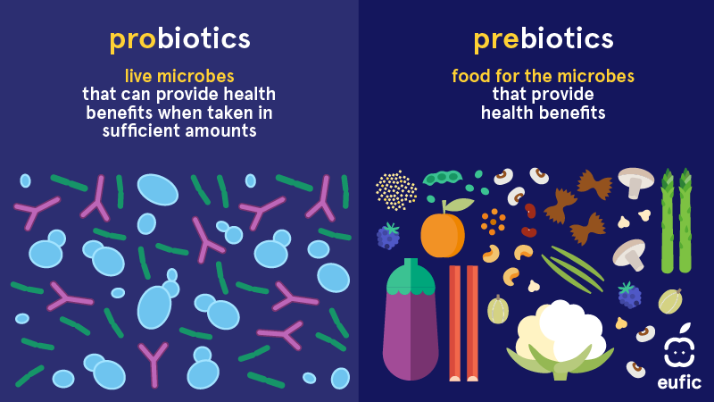 What Are Prebiotics And Probiotics And Are They Important For Health 