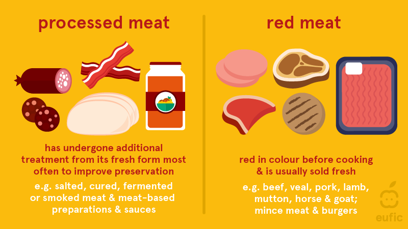 Daisy kul Indvandring How bad is eating (red) meat for our health and the environment? | Eufic