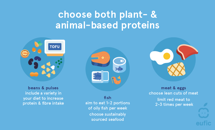 Plant- & animal-based proteins