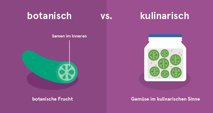 Botanische vs. kulinarische Klassifikation der Gurke